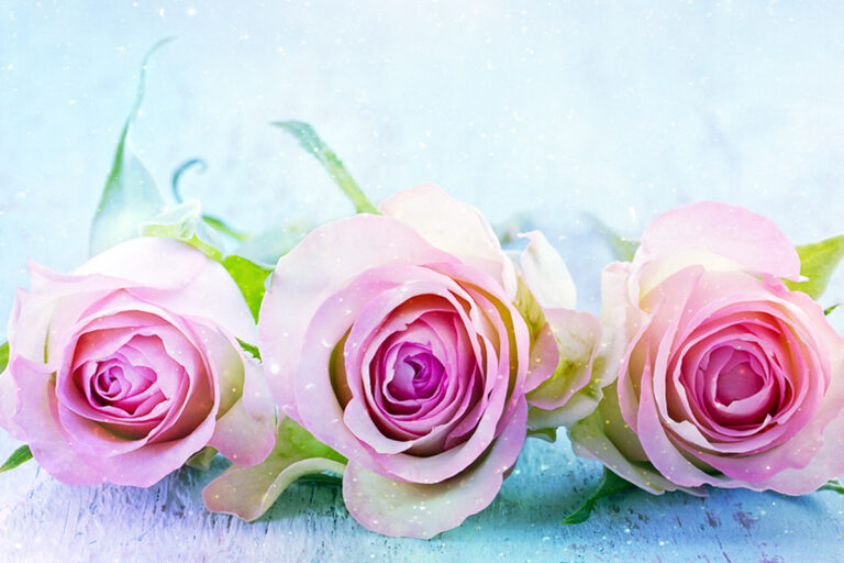 mothersday-1.jpg