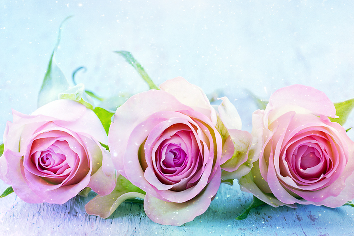 mothersday-1.jpg