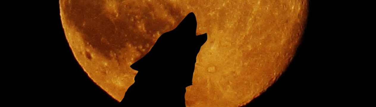 wolfmoon.jpg
