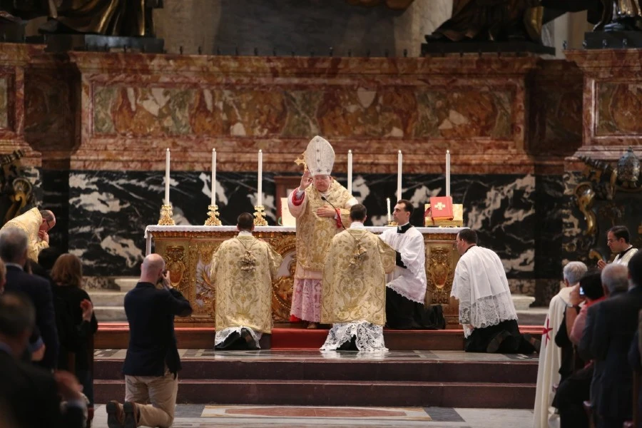 Cardinal-Raymond-Burke-TLM.jpg