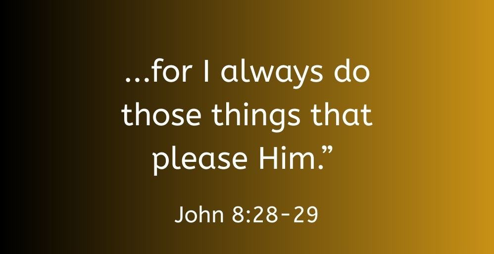 john8-28-29.jpg