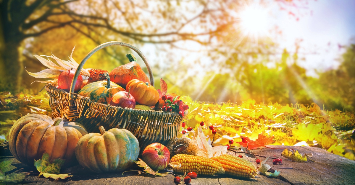 27994-istockgetty-images-plusalexraths-5_source_file.jpg