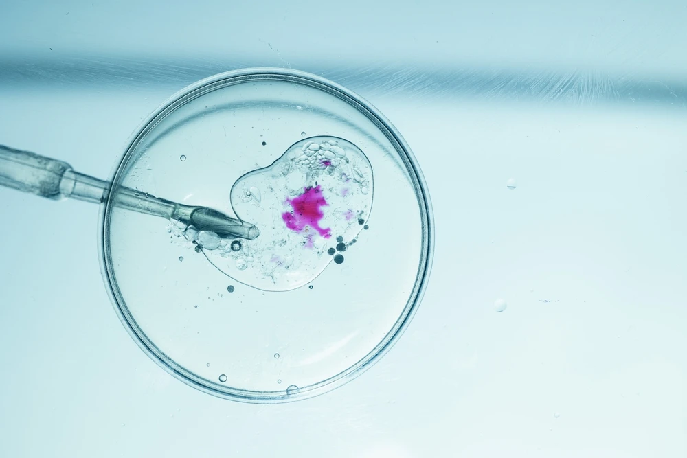 invitrofertilization022025.jpg
