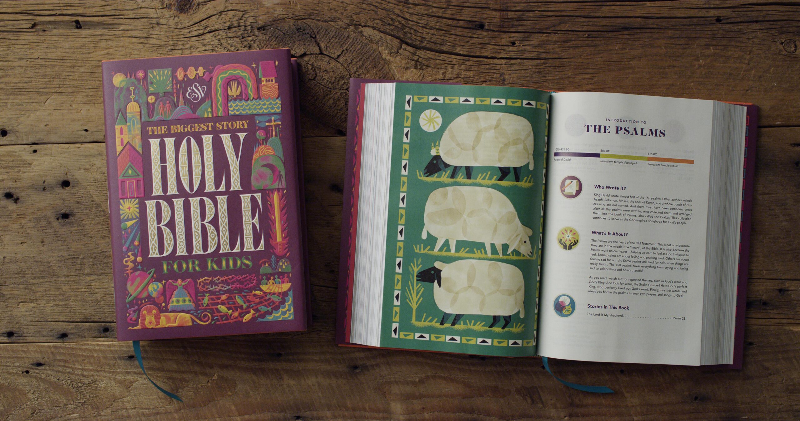 9781433580598-ESV_The_Biggest_Story_Holy_Bible_for_Kids_HC-01-L.jpg