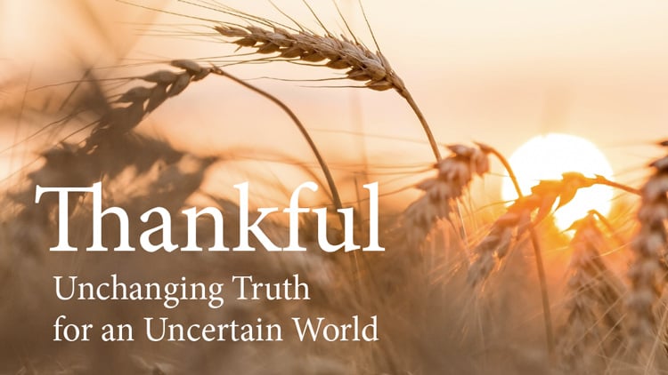 November15Letter_Blog_Email.jpg