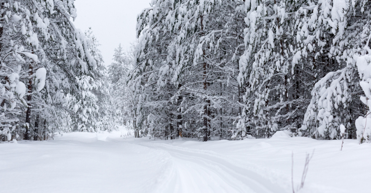 29910-snow-tetiana-shyshkina-unsplash_source_file.jpg