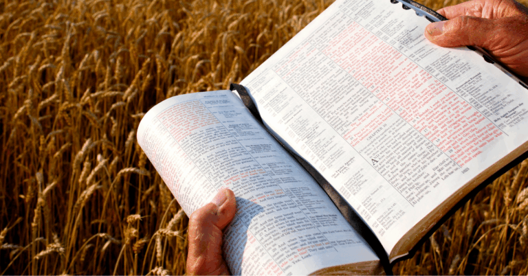 Man-Reading-the-Bible-in-a-Field.png