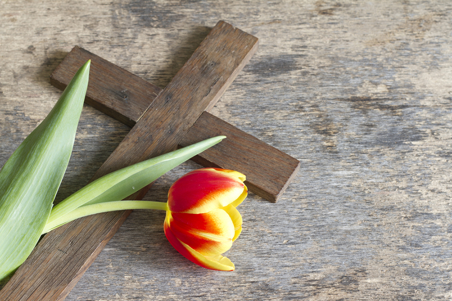 Resurrection_cross_tulip_Easter_Credit_udra11_Shutterstock_CNA.jpg