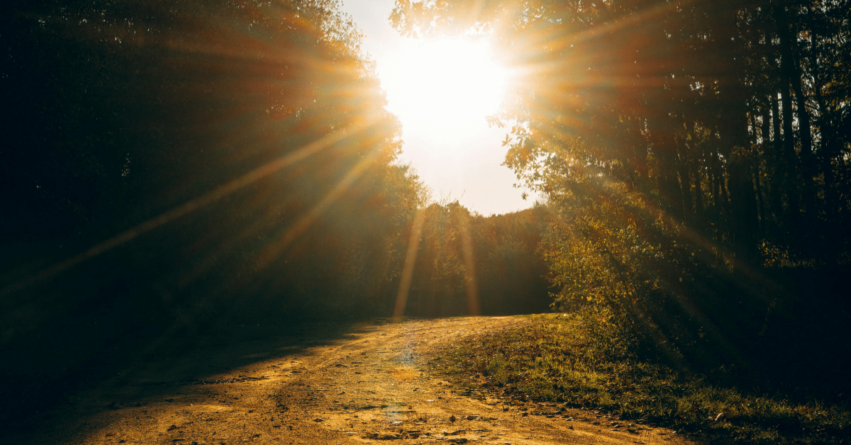 Golden-Sunlight-On-Path.png