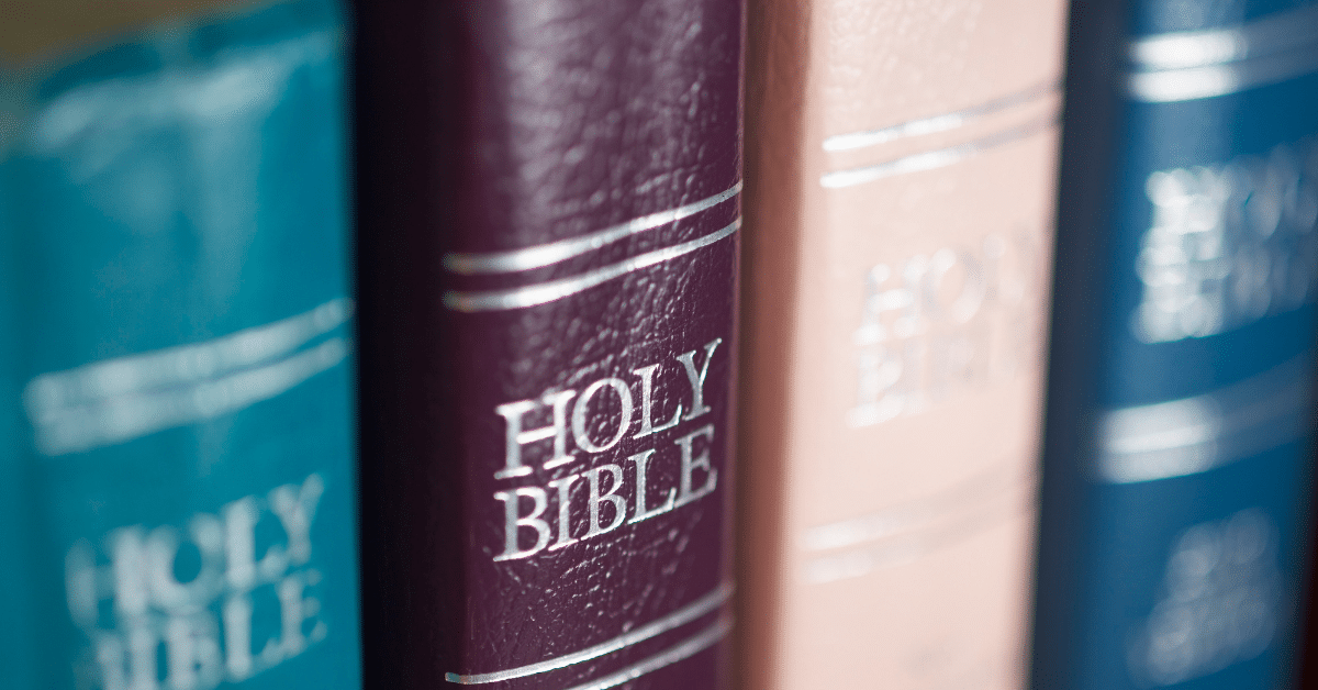 Collection-Of-Bibles.png