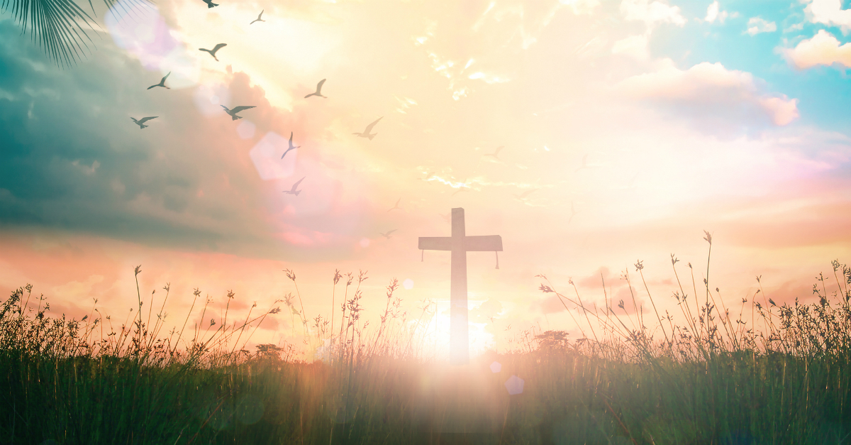 11627-cross-in-hazy-field-easter-resurrection-sunri.jpg
