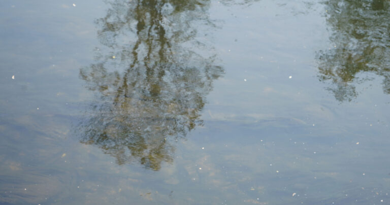 why-jesus-needed-to-be-baptized.jpg