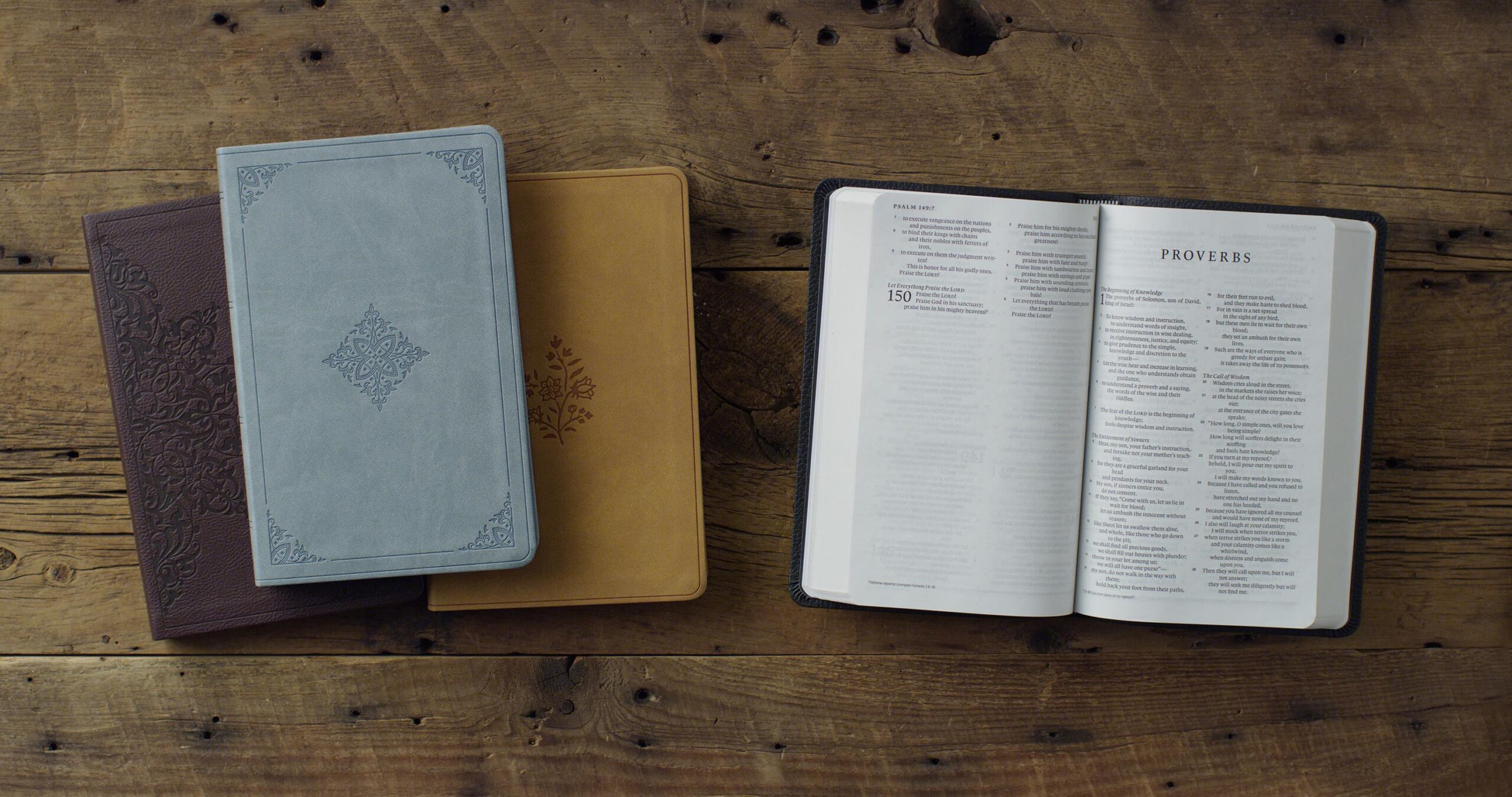 Crossway_Special_Premium_Gift_Bibles-01-L.jpg