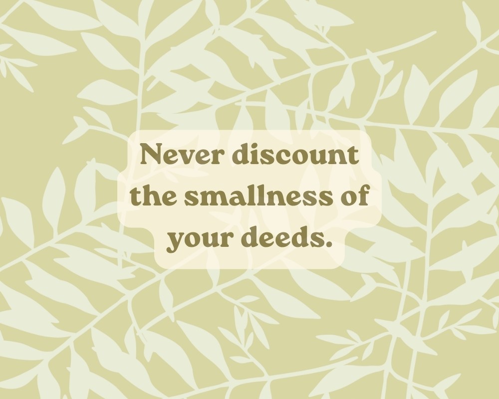 tiny-seed.jpg