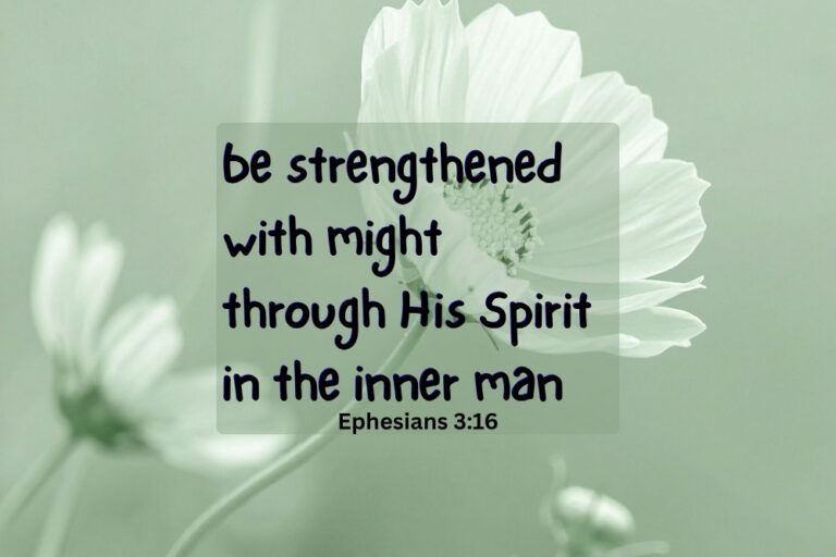 eph13-6.jpg