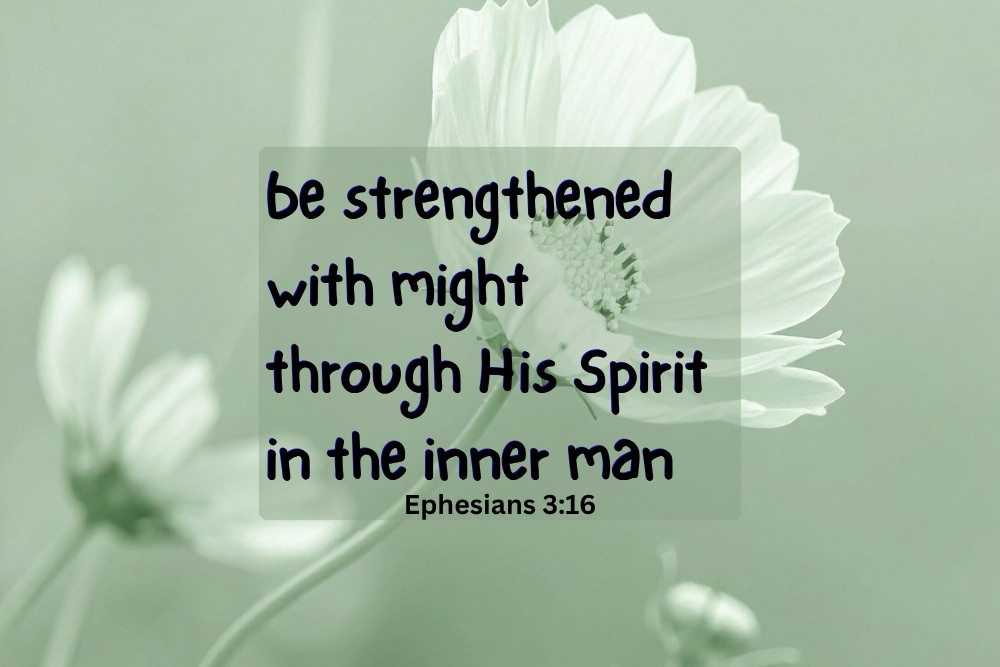eph13-6.jpg