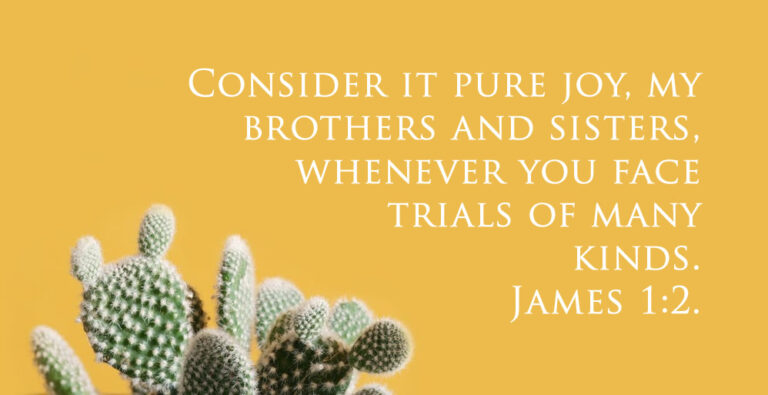 james1-2.jpg