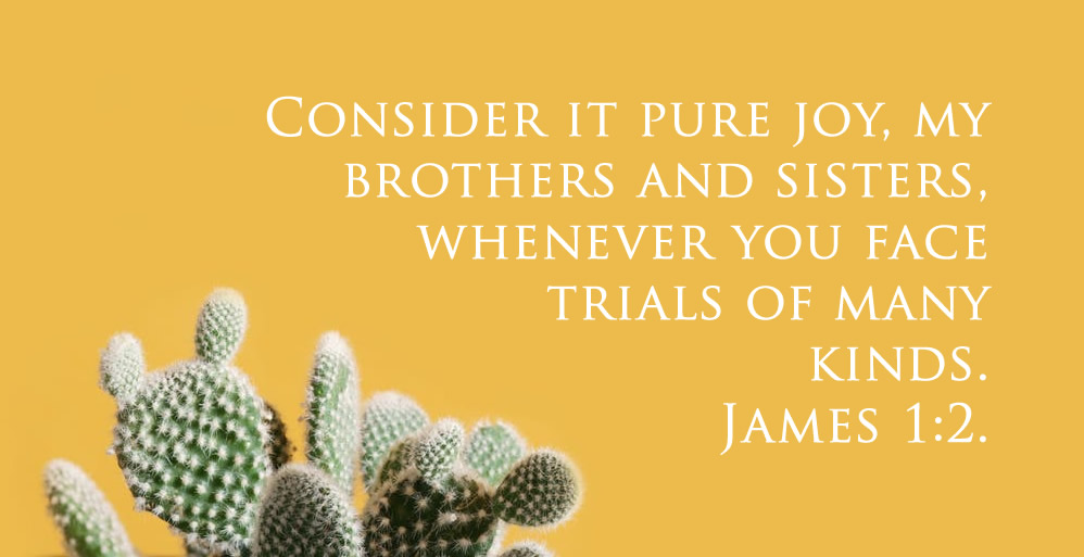 james1-2.jpg