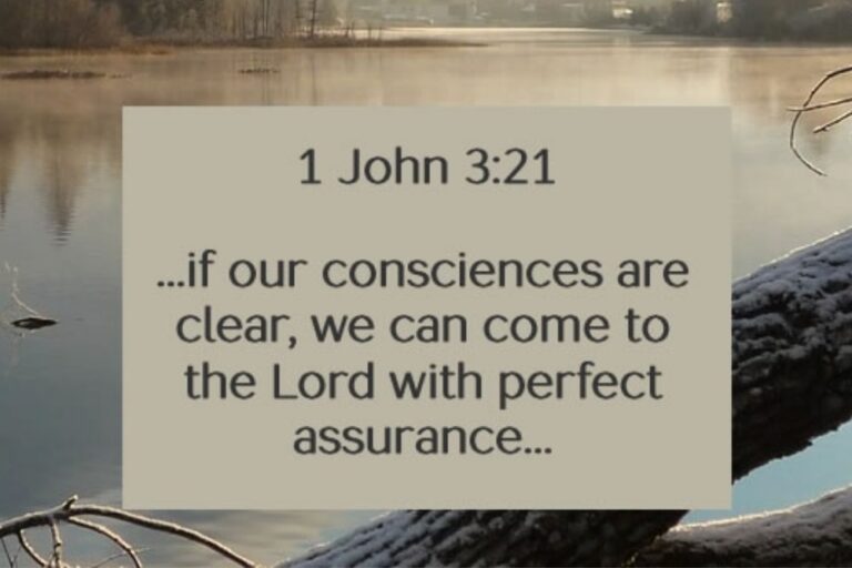 1john3-21.jpg