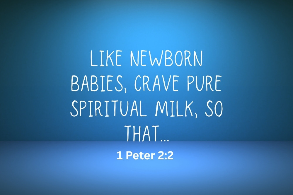 1peter2-2.jpg
