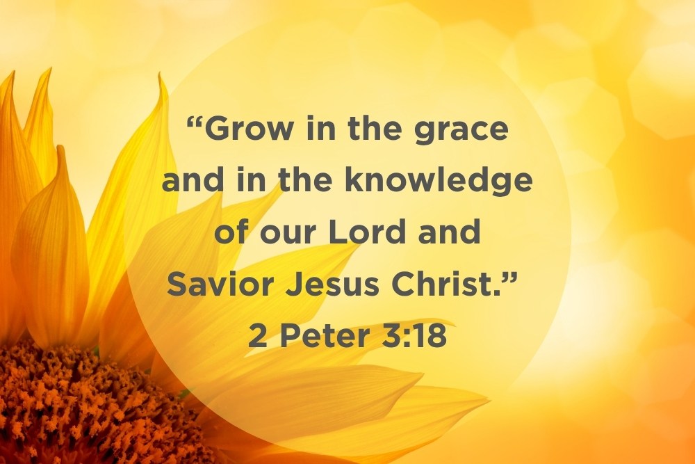 2PETER3-18.jpg