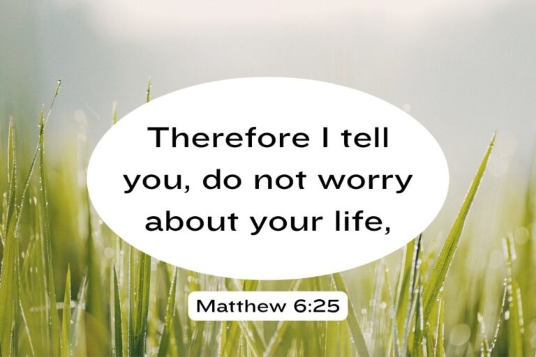 Matthew-625.jpg