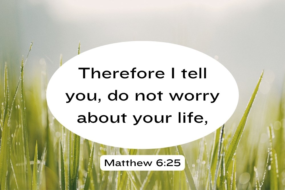 Matthew-625.jpg