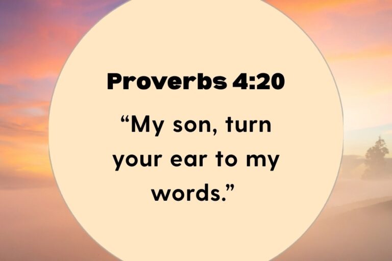 Proverbs-420.jpg