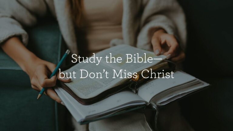 StudyTheBible_BlogHeader_07.08.jpg