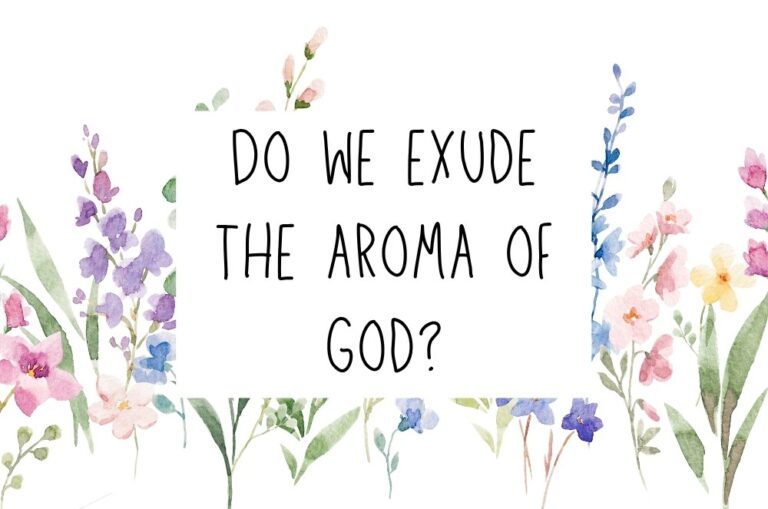 aromagod.jpg