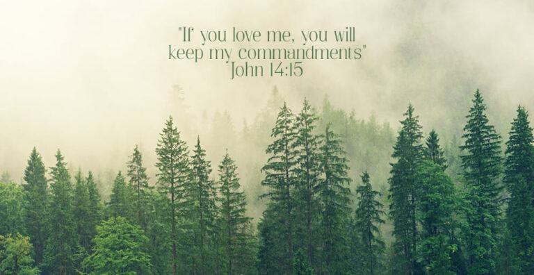 john14-15.jpg