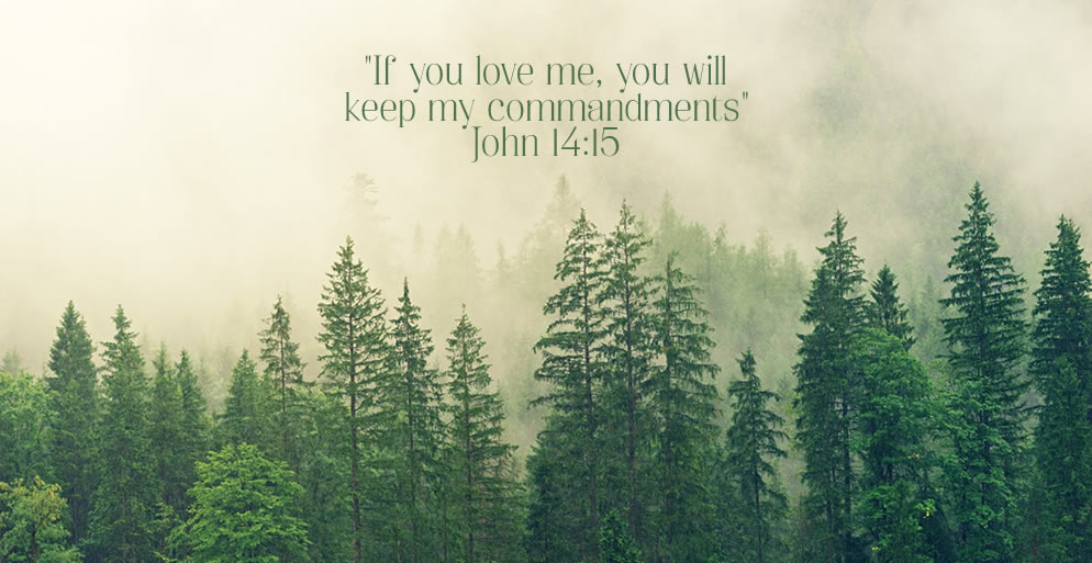 john14-15.jpg