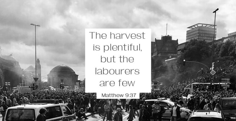matt9-37.jpg