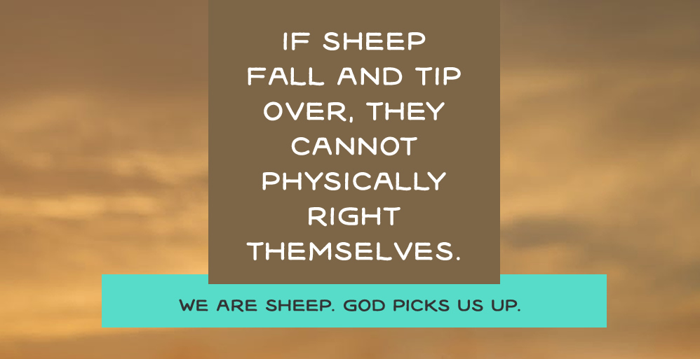 pick-up.jpg