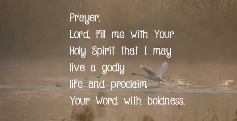 proclaim-1.jpg