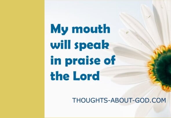 mymouthwill2.jpg